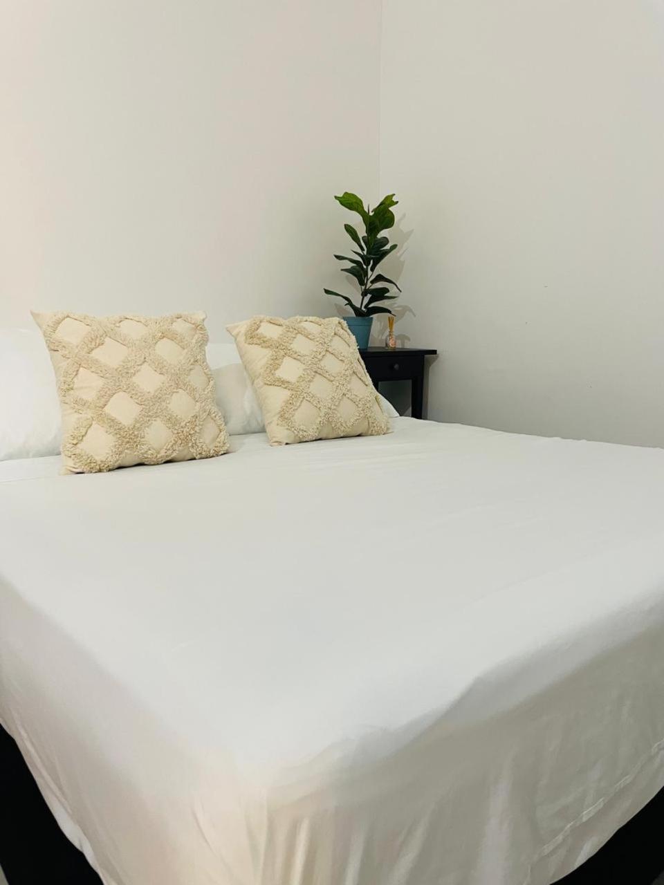 Hostal 1545 Ríohacha 客房 照片