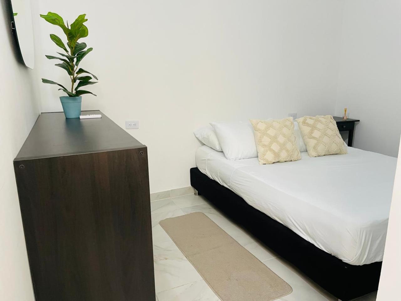 Hostal 1545 Ríohacha 客房 照片